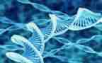 高中生物工作总结优质7篇