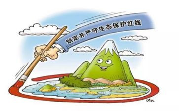 动物保护作文优秀7篇