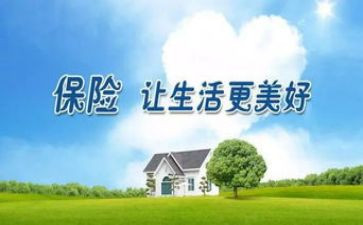 保险工作总结个人总结模板6篇
