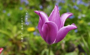 八月工作计划范文5篇