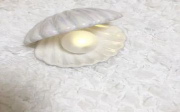 挖贝壳作文8篇