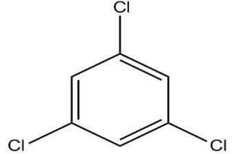聪明孩子苯老狼教案6篇