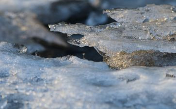 我与冰雪运动作文8篇