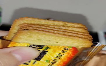 小老鼠做饼干教案7篇