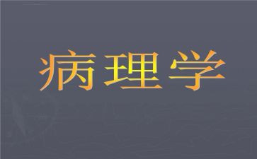 2024年病理科个人总结6篇