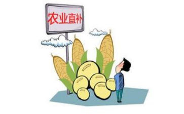 滥发津补贴自查报告8篇