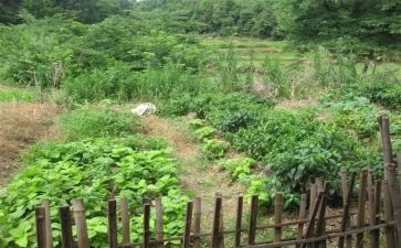 打游戏很菜的小学生作文5篇