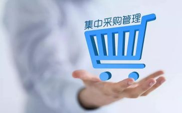 采购助理年度总结6篇