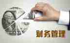 财务会计年终工作总结6篇
