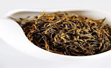 茶作文参考6篇