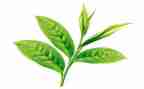 奶茶店搞活动方案5篇