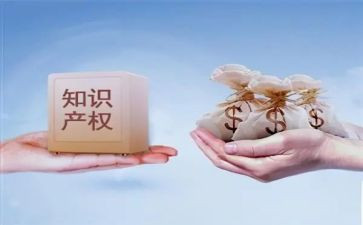 知识产权总结报告5篇