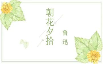 朝花夕拾读书心得800字5篇