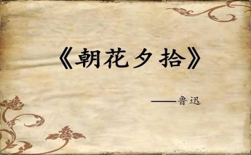朝花夕拾读书心得800字优质8篇