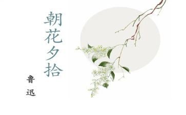 朝花夕拾读书心得400字6篇