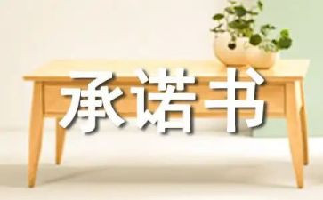 行动承诺书6篇