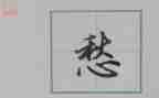 关于愁的作文800字精选6篇