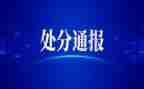 扯处分申请书优秀7篇