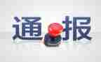 扯处分申请书推荐6篇