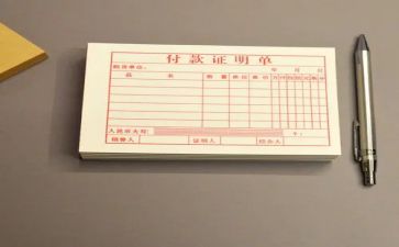 会计出纳个人总结报告8篇