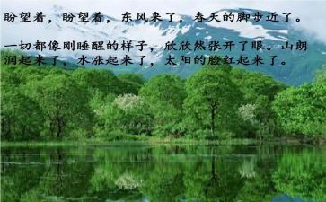 春节歺总结报告8篇
