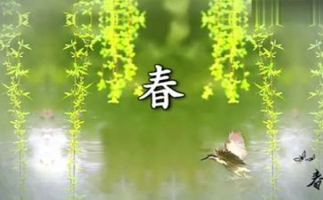 春节趣事作文450字8篇