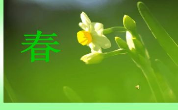 春节趣事作文600字作文精选8篇