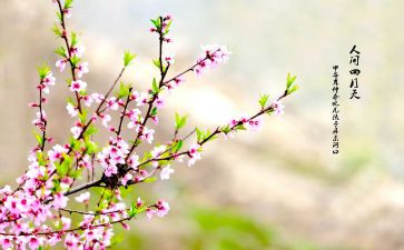 春节的由来演讲稿8篇
