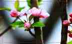 春节趣事作文600字作文7篇