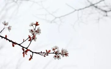 匆匆读后感300字6篇