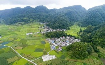 村会计个人述职报告参考8篇