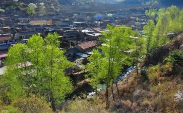 村半年工总结报告6篇