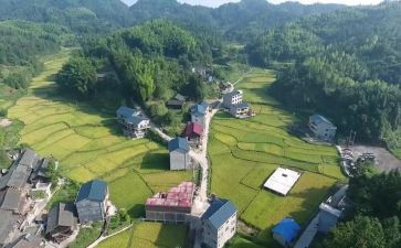 村社区工作总结个人总结8篇