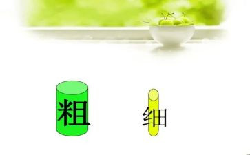 比较粗细教案7篇