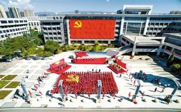 2024年党员半年工作总结6篇