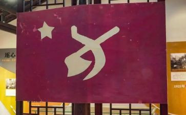 发展党员工作工作总结7篇