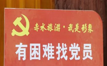 党员的个人年度总结5篇
