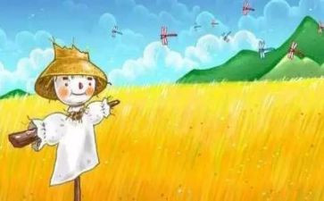 ?w稻草人读后感300字通用8篇