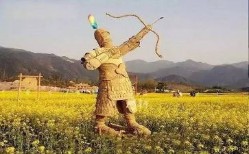 ?w稻草人读后感500字作文5篇
