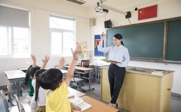 导师的心得体会8篇