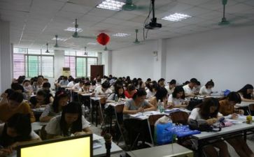全员导师制工作总结6篇