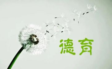 幼儿园德育处工作计划参考5篇