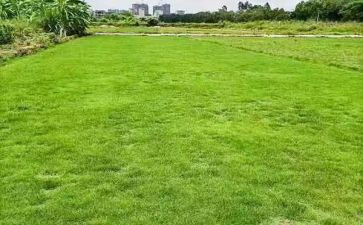 地理教研活动总结6篇