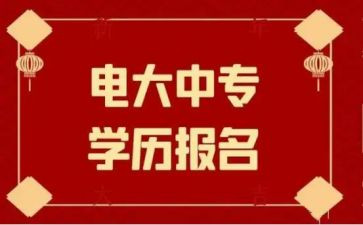 2024电大行政管理调查报告范文5篇
