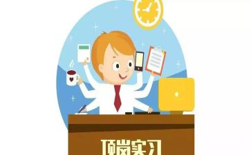 顶岗月总结报告优秀7篇