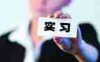 学生实习顶岗总结报告7篇