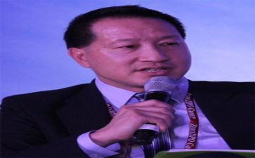 公司董事述职报告8篇