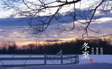 小学生冬至作文优秀6篇