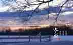 小学生冬至作文优秀6篇