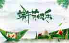 我的端午作文800字7篇